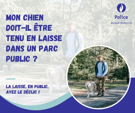 🐶❓ Dois-je tenir mon chien en laisse lors d'une balade dans un parc public ?