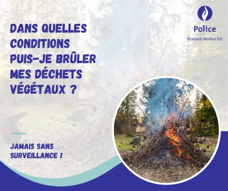🔥🌿🪵 Dans quelles conditions puis-je brûler mes déchets végétaux ?