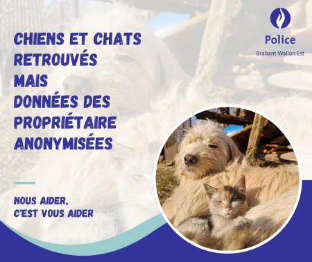 🐶 🐱  Rappel : DogID et CatID