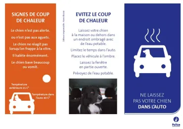 🌡️☀️ Il fait chaud dehors ; pensons à nos animaux !