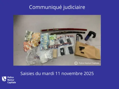 saisies du 11.11.25