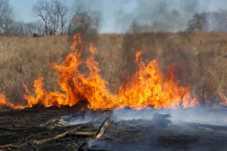 feu de champs