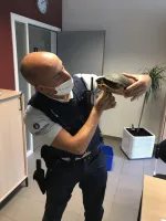 Tortue 2