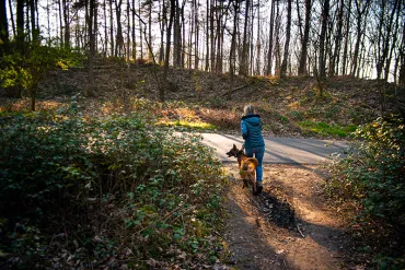 Promenade au bois