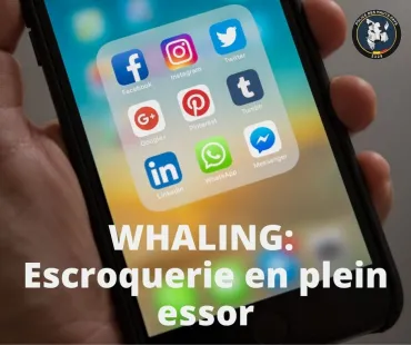 Whaling - Escroquerie en plein essor
