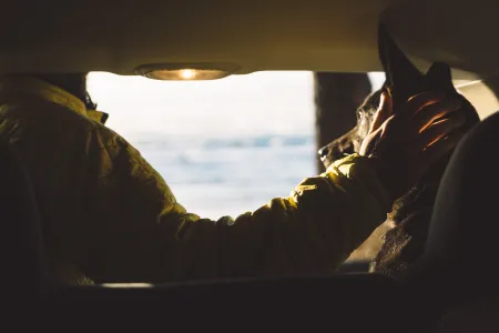 Un maître et son chien en voiture