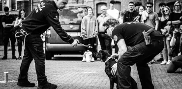 ►®PolFed
