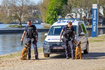 © Secunews