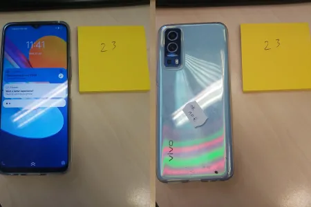 vivo
