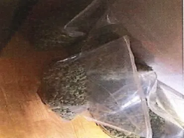 Saisie drogue