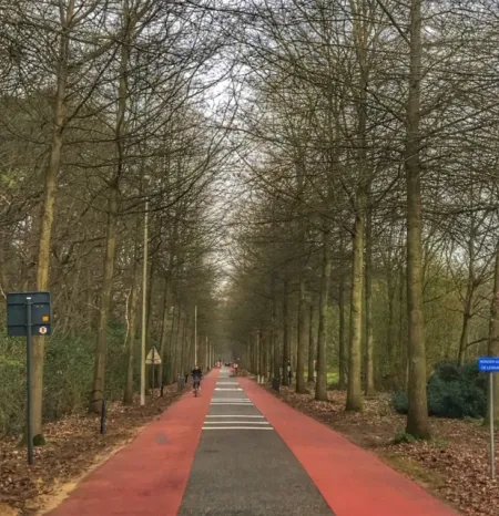 Fietssuggestiestrook in Eksterdreef