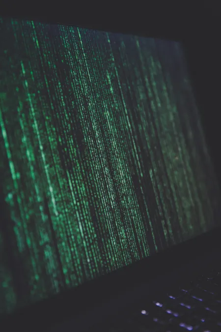Cybercrime