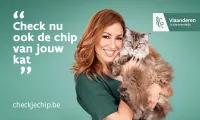 Check je chip