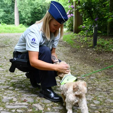 Sensibilisering - honden aan de lijn
