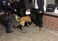 controle drughond