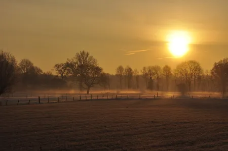 Laagstaande zon