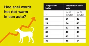 afbeelding temperatuur auto