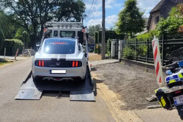 Mustang