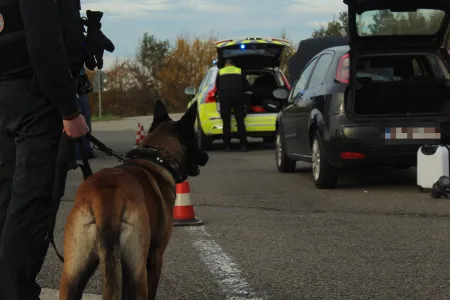politiehond