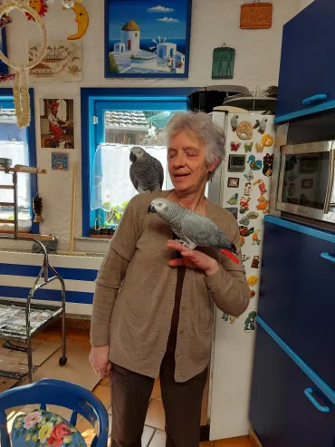 Viviane Fierens