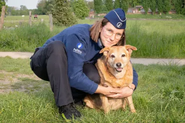 Dierenflik met hond