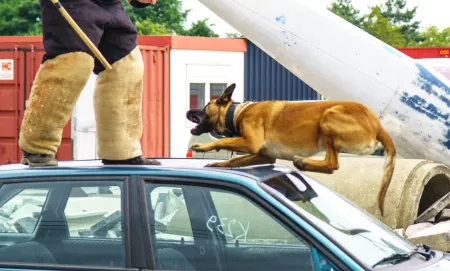 bijtoefening hond