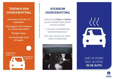 Folder hond in de auto pagina 1