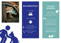 Folder hond in de auto pagina 2