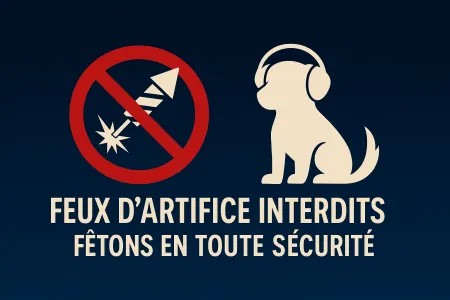 Feux d'artifice interdits, fêtons en toute sécurité