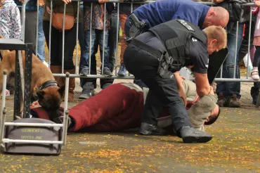 demo hond