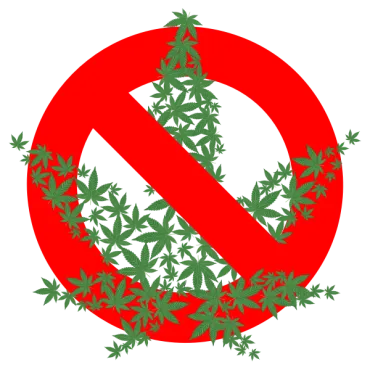 Cannabis