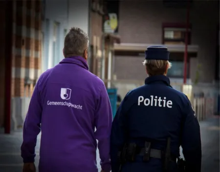 Wijkveiligheidsteams
