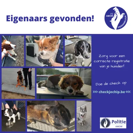 Registratie huisdier