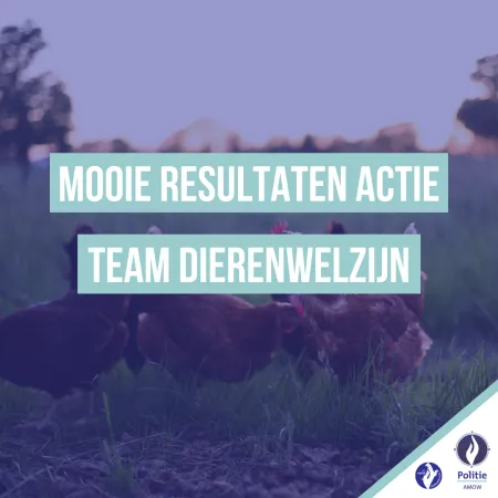 Resultaten actie team Dierenwelzijn