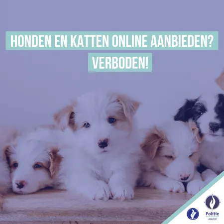 Honden en katten