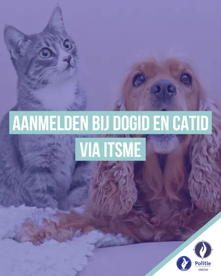 hond en kat die naast elkaar liggen en naar boven kijken 