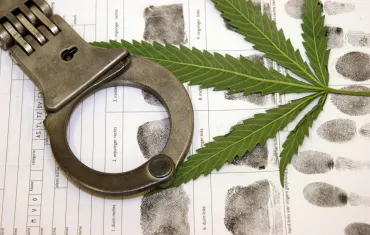 Recherche Cannabis