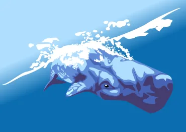 Blue Whale 