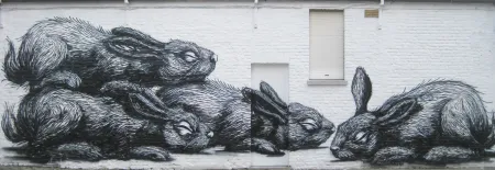 Graffiti Roa