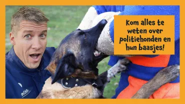 Vlog Hondenteam