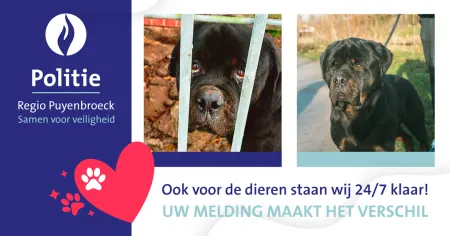 dierendag