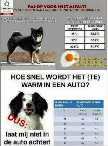 tips bij hitte