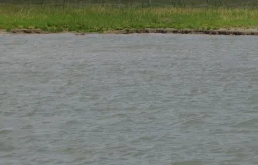 wateroverlast