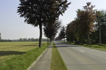 Foto landschap zone