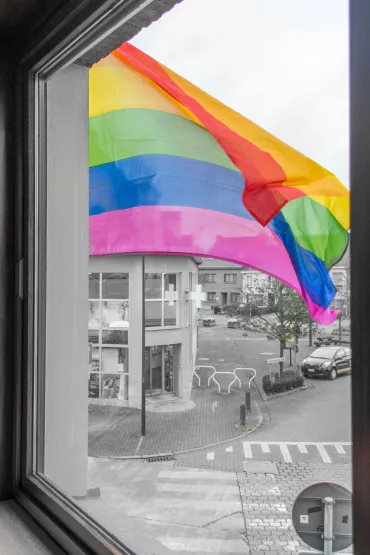 Regenboogvlag