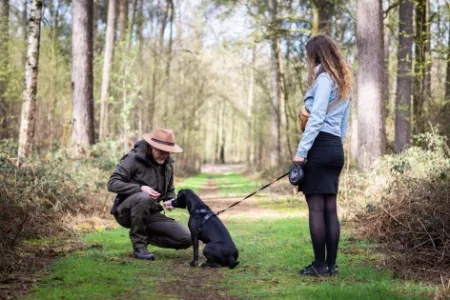 Hond aan de leiband