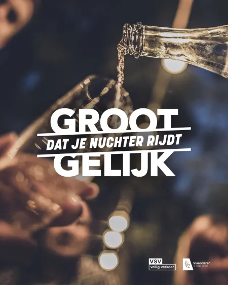 Groot Gelijk dat je nuchter rijdt campagnefoto