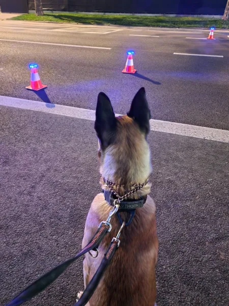 20240113_Argos tijdens verkeersactie