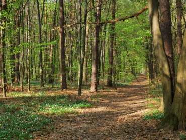 Code oranje voor natuurbrand