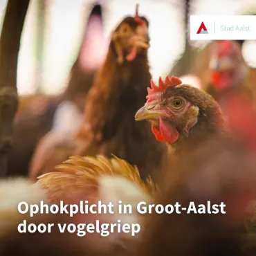 Ophokplicht foto Stad Aalst 